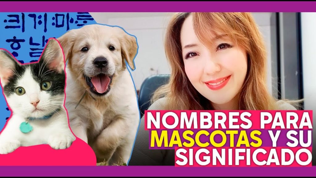 nombres coreanos para perros